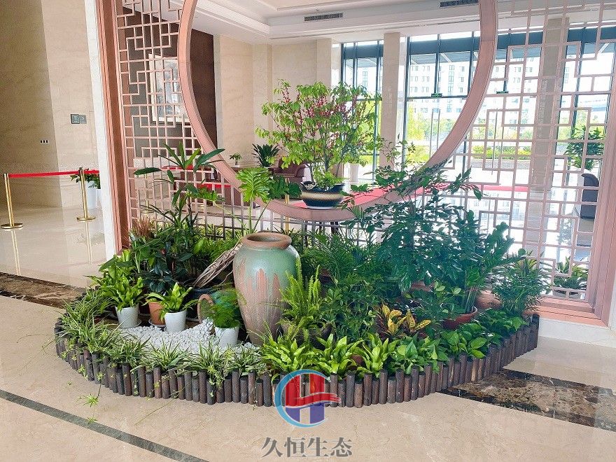 宁波奉化企业大厅组合花卉绿植摆放