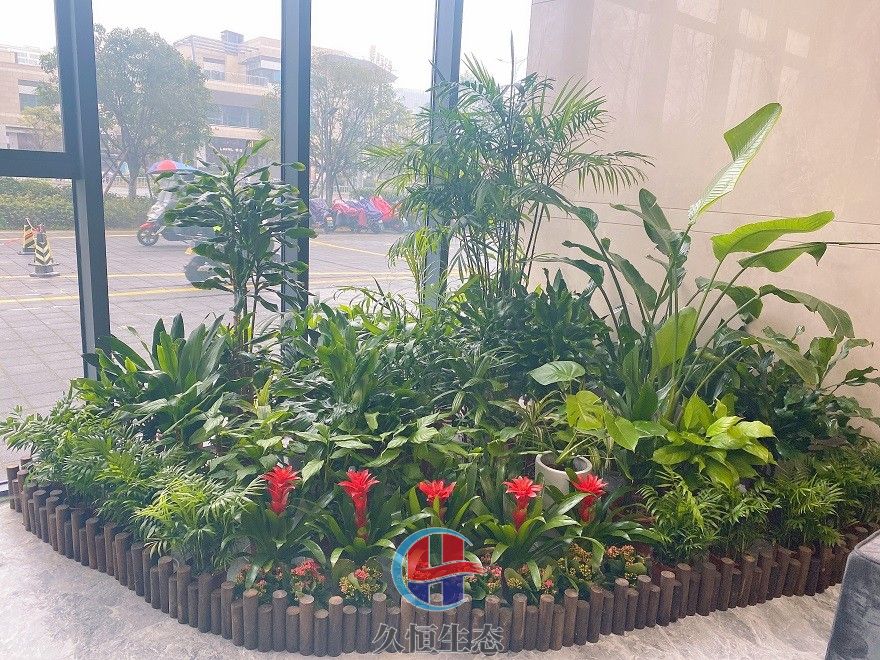 宁波奉化大厅多个花卉品种造景2