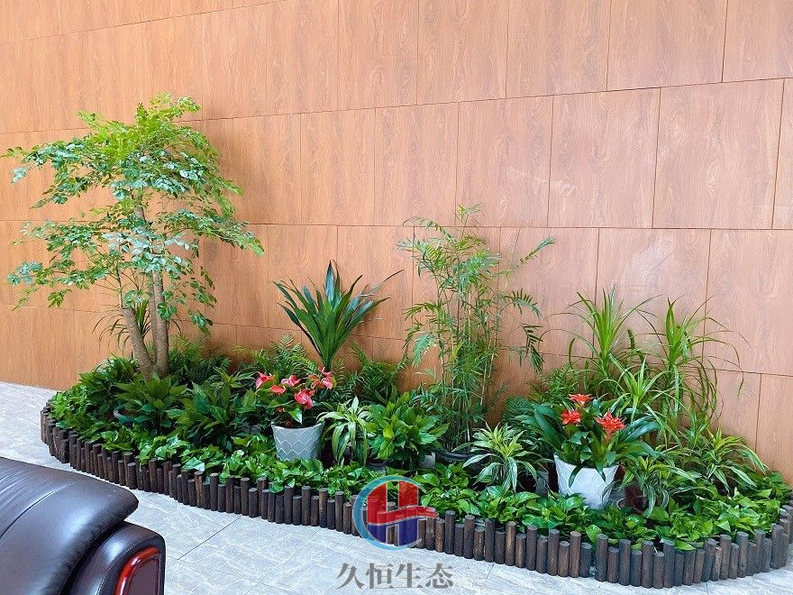 宁波奉化大厅多个花卉品种造景3